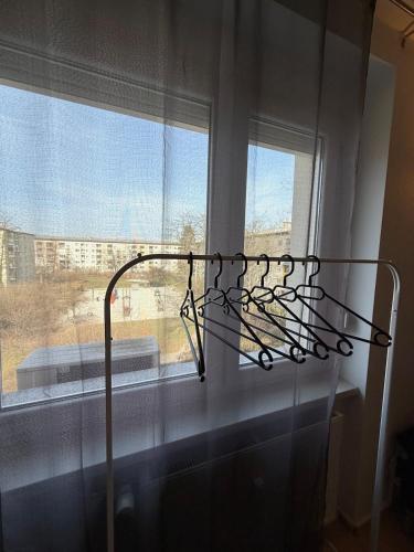 Flat close to University with private parking, Ljubljana (photo 8)