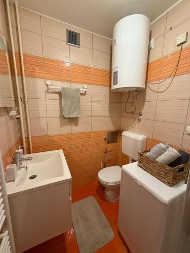 Flat close to University with private parking, Ljubljana (photo 10)