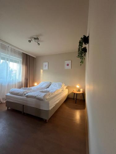 Sands Dom Szteklin in Steklin