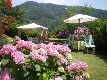 Campomaggio - Accommodation - Pistoia