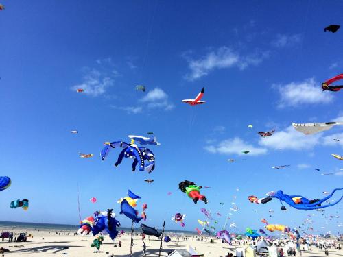 베르크 Le Voyageur A la plage vue mer 4성급 게스트하우스 전망