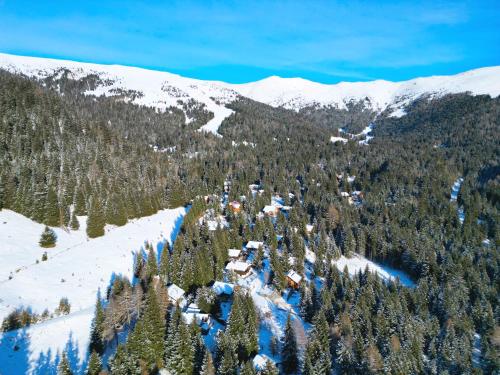 A környék, Hüttenzauber Oberbergeralm (Huttenzauber Oberbergeralm) in St. Marein bei Neumarkt