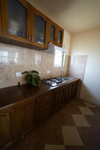 Cozy, country house in Soveja