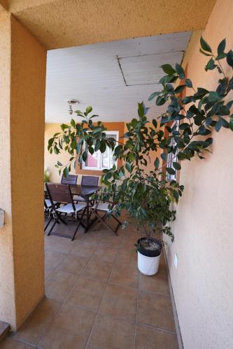 Cozy, country house in Soveja
