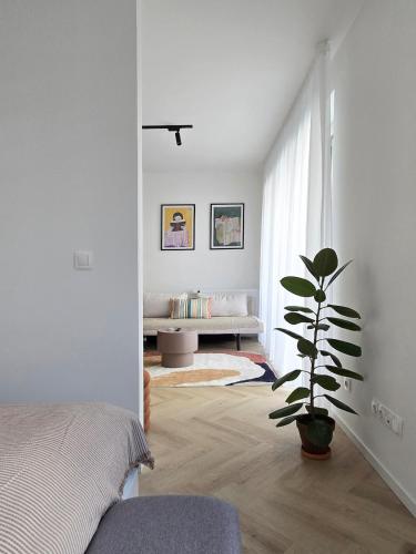 B14 studio apartment, Budapeszt