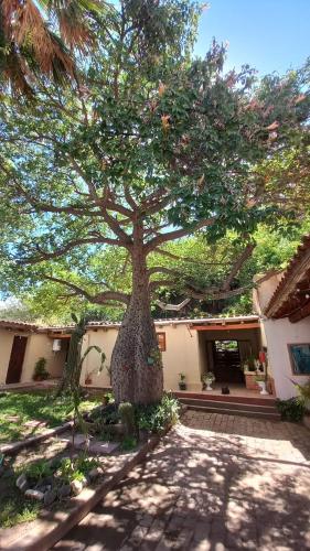 Dārzs, Hostal del Cerro in Belén