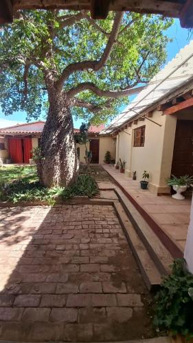 Dārzs, Hostal del Cerro in Belén