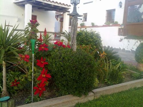 Casas El Molino - image 2