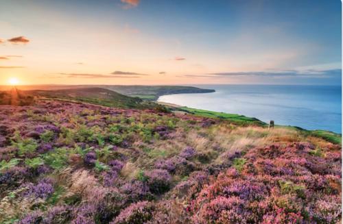 The Flask Inn, Fylingdales, Whitby in Flask