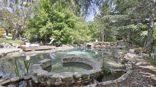 Coin de paradis en Provence in Sault (Provence-Alpes-Cote d'Azur)