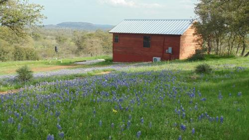 Texas T Bed and Breakfast