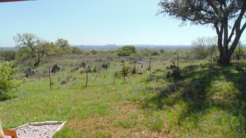 Texas T Bed and Breakfast