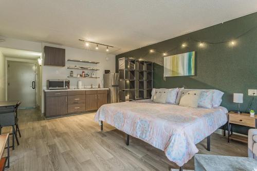 Cozy Studio W Kingbedworkspacewifidogspark-dt in Chattanooga, USA