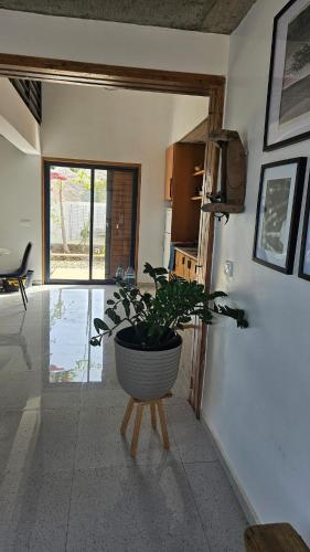 ห้องครัว, Serene Escape in Porto Madeira in รุยวาซ