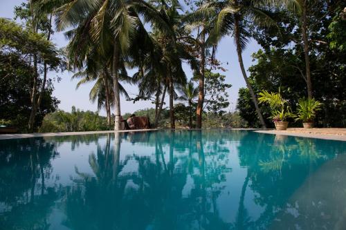 Stone Well Garden Villa - image 4