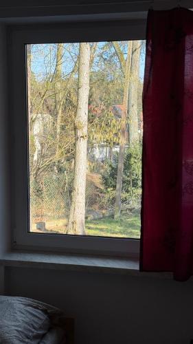 Kilátás, Lake House Hostel in Zachod