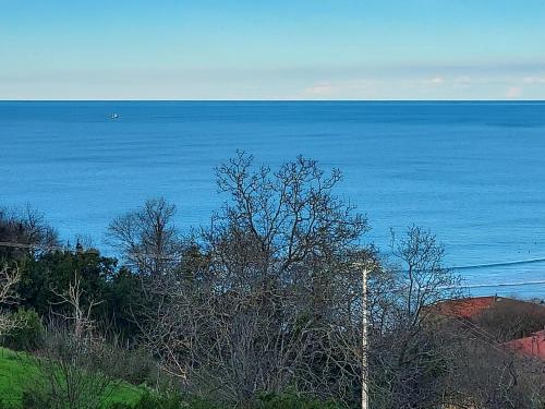 Vista Alegre in Zarautz