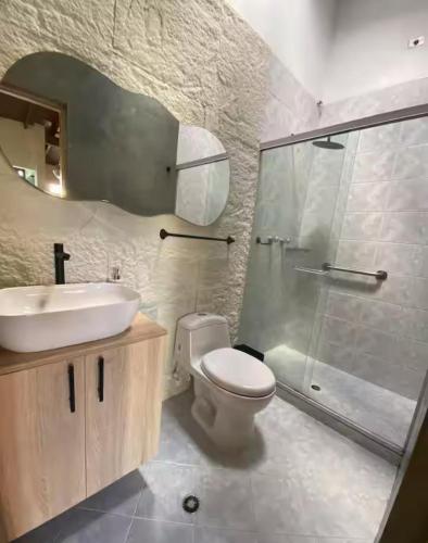 metropolis coliving