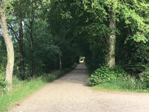 Bed & Breakfast Tistrup - image 10