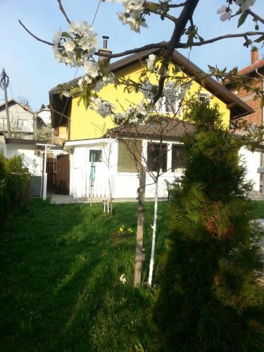 Alma's Sweet Home
