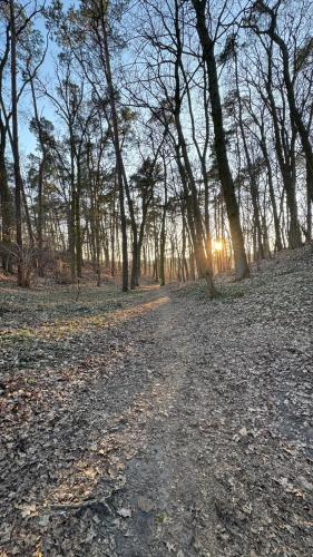 A környék, Lake House Hostel in Zachod