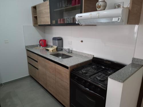 One-Bedroom Apartment image 8