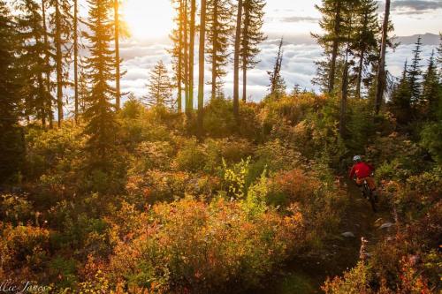 A környék, Fresh Studio Apartment in Central Rossland in Rossland