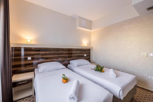 Hotel Terra - image 2