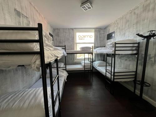 Bed in 6-Bed Mixed Dormitory Room image 10