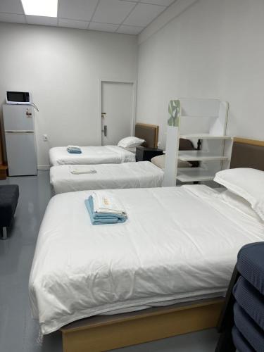 2 Double Beds, 1 Single Bed, 2 Double Sofa Beds in 1 Room, Serviced Suite 6