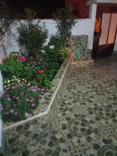 Alya House Alya House