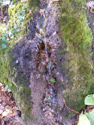 Appartamento Locazione Turistica L'Antica Sorgente Panicale