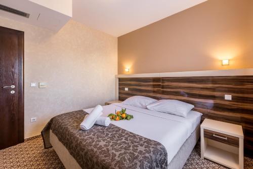Hotel Terra - image 6