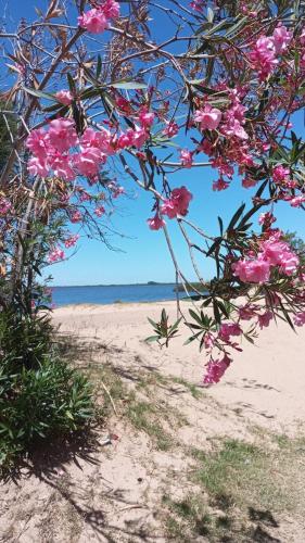 La Ensenada Beach-Hostel