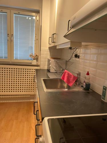 エステルスンド Mysiga Lagenheten Orebro 3つ星 シングルルーム プール