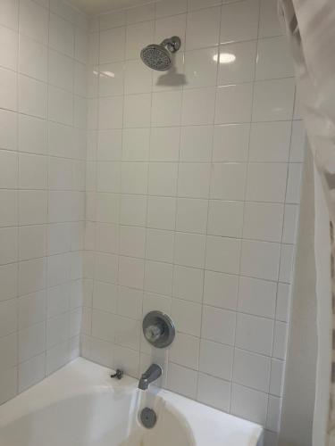 Two-Bedroom Apartment image 3