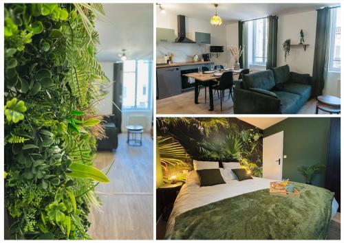 Jungle Room - Centre ville - Location saisonnière - Marmande