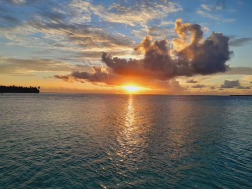 Surrounding environment, Fare ATAROA in Maupiti Island