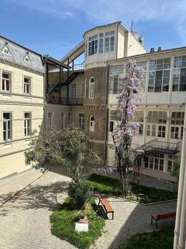 Art Nova 14, Tbilisi (fotografie 6)