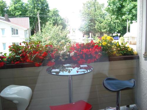 Guest House Linas - image 10