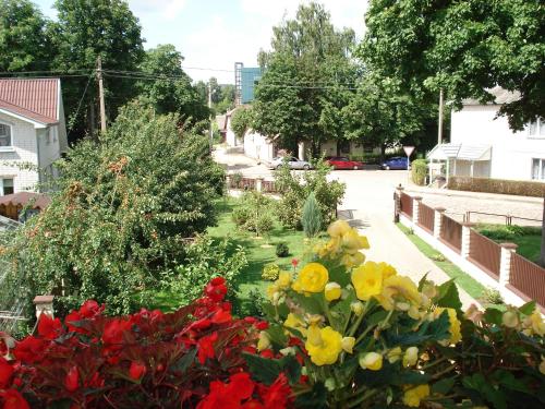 Guest House Linas - image 3