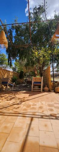 Riad Elaissi Riad Elaissi