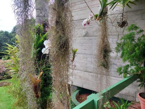 Casa da Su 2 Casa da Su 2