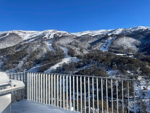 Schuss Alpine Club, Thredbo in Thredbo Falu