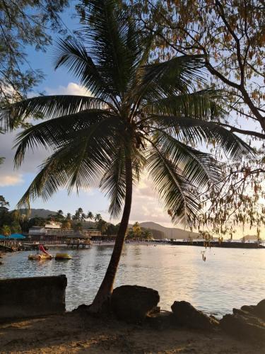 Les dessus de la Marina