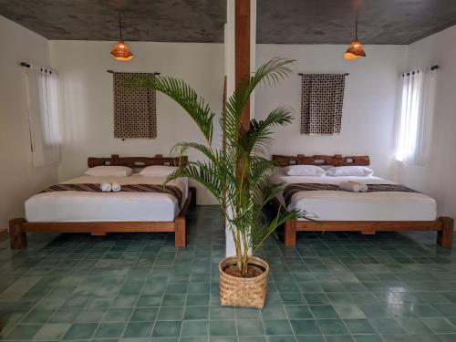 Omah Betakan Boutique Homestay in Sendangagung