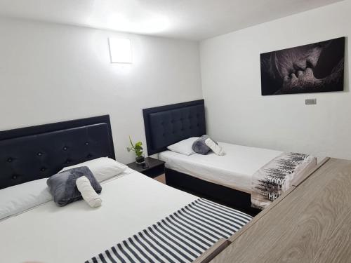 New Cozy Apartment in the Poblado, San Lucas, Medellín (foto 7)
