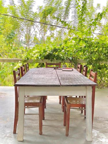 Lotus Surf House in Midigama Beach