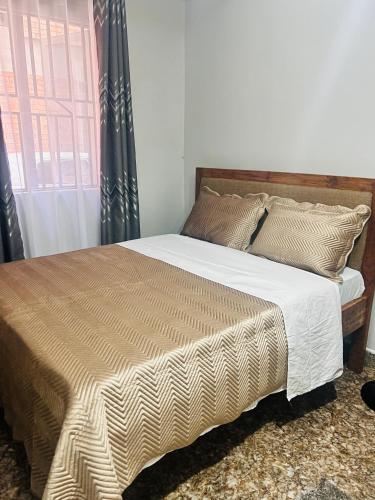 Modern Studio Near Makerere University - image 2