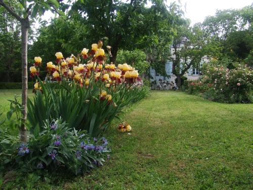 Villa Lea, Toulouse (photo 8)